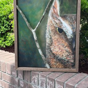 owl 1